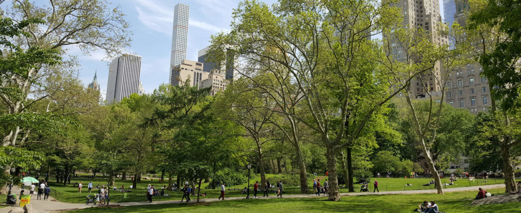 Central Park i New York.
