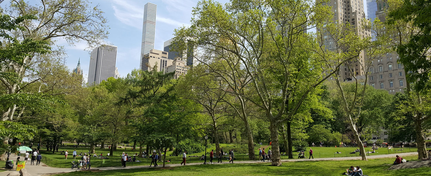 Central Park i New York.