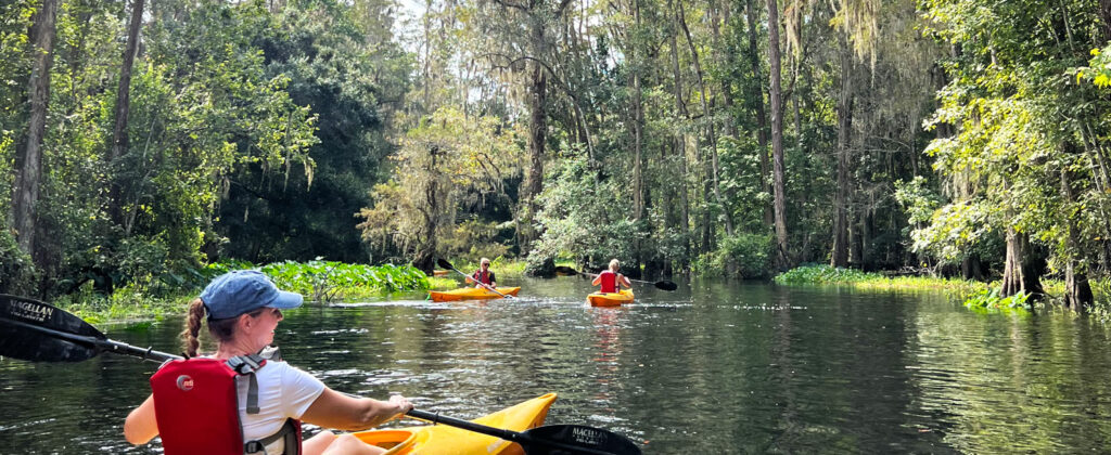 Shingle Creek Kajak.