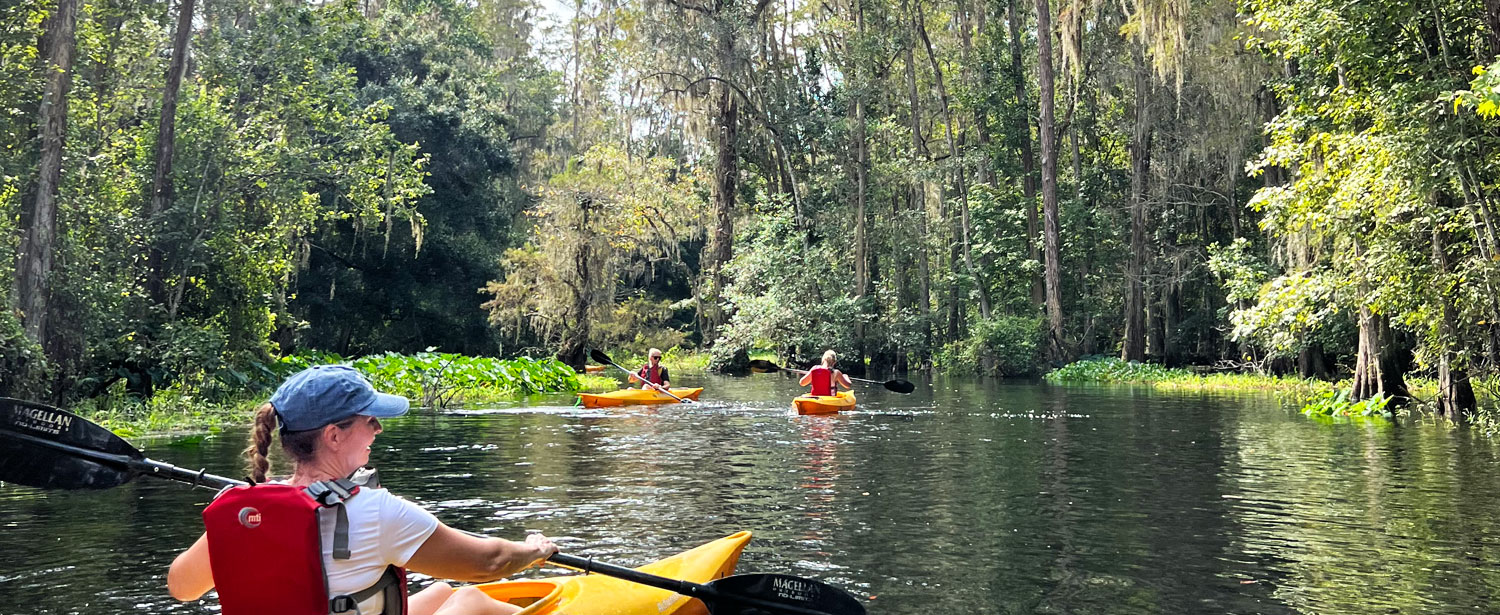 Shingle Creek Kajak.